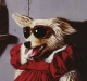 orangedude71's Avatar